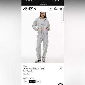 Aritizia TNA Cargo Wide Leg Sweatpants in Heather Grey